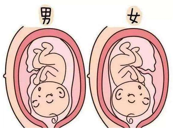 深圳哪里做供卵试管靠谱让你的生命充满温暖和希望