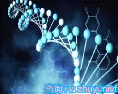 深圳公立供卵试管医院业内领先机构,让生育梦想成真