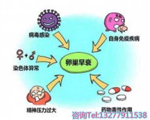 深圳供卵有很快的吗为生命选择更加精准、科学的性别